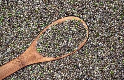 Raw Horizons Organic Chia Seeds