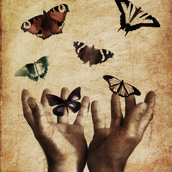 Butterflies in Flight Over Hands