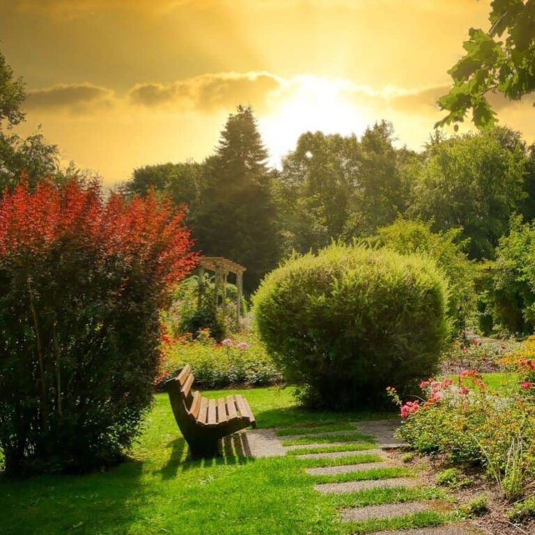 Meditation Garden at Sunset