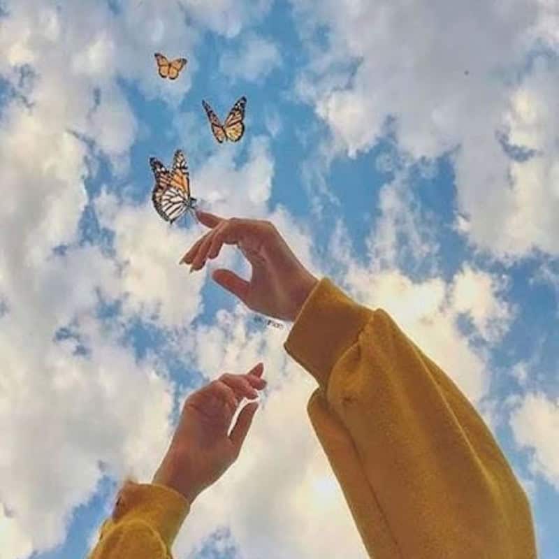 Butterflies in Sky with Hands